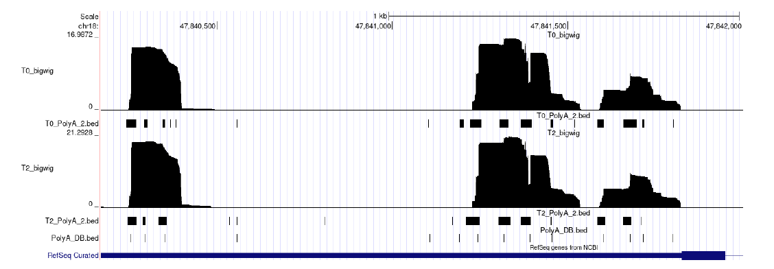 Figure 3 — Master's Thesis